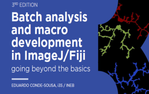 Batch analysis and macro development in ImageJ/Fiji: going beyond the basics | 3rd Edition  