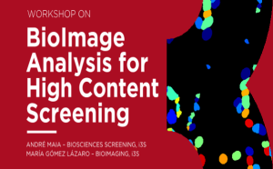 BioImage Analysis for High Content Screening
