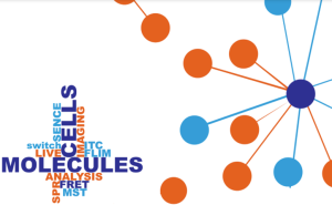 Biomolecular interaction analysis 2021: From molecules to cells 