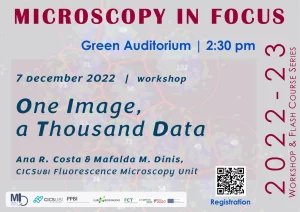 Workshop “One Image, a Thousand Data”