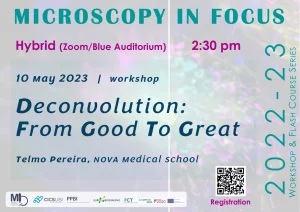 Workshop “Deconvolution: From Good to Great”