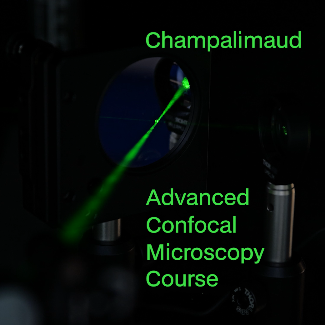 Advanced Confocal Microscopy Course – April 13–17, 2026